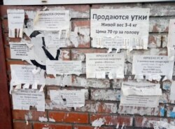 Счастье. Доска объявлений