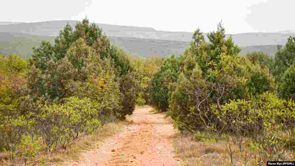 Итальянское кладбище расположено на горе Гасфорта. Ее назвали в честь полковника Всеволода Густавовича Гасфорта. Еще гору называют Пьемонтской обсерваторией, так как в 1855 году там находился «Пьемонтский наблюдательный пункт»