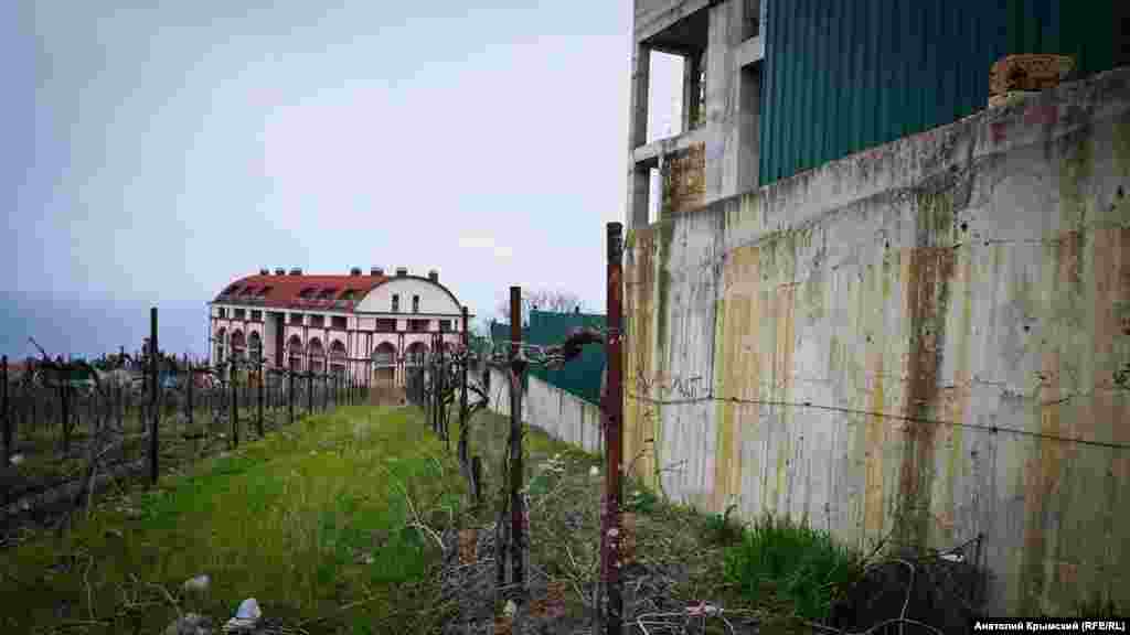 Забор частной застройки вплотную приблизился к виноградникам «Ливадии»