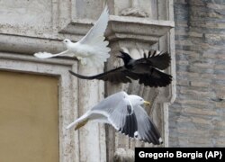 Ватикан, 26 січня 2014 року