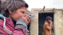 افغانستان کې سختې يخنۍ تر ۱۵۰ زيات کسان مړه کړي  افغانستان کې سختې يخنۍ تر ۱۵۰ زيات کسان مړه کړي