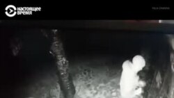 "Москаляки крадут харчи. Грабители и сволочи". Украинцы показывают, как российские солдаты грабят магазины  "Москаляки крадут харчи. Грабители и сволочи". Украинцы показывают, как российские солдаты грабят магазины