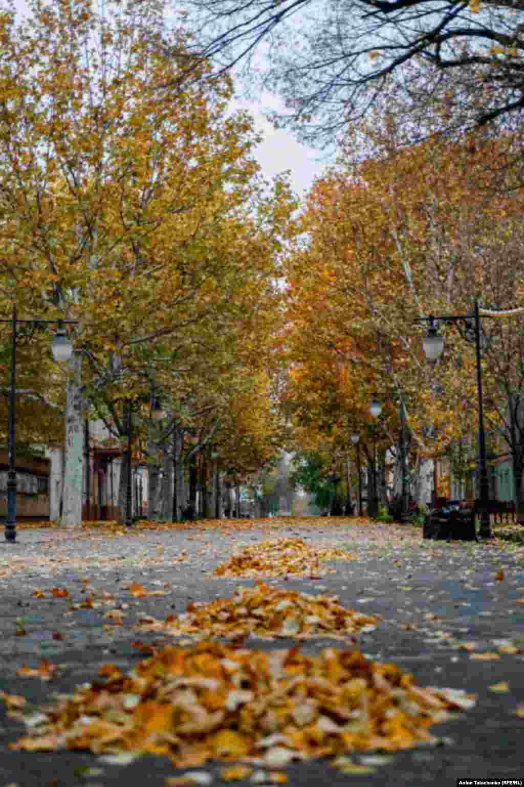 Центральна пішохідна вулиця міста. Вулиця Суворова 