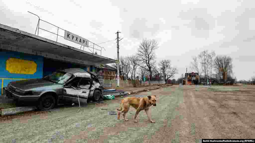 Село Кухарі після звільнення від тимчасової російської окупації. Київщина, 30 березня 2022 року