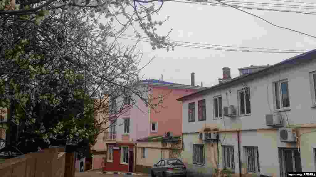 На улице Хромых цветет алыча. Алушта, 29 марта 2022 года
