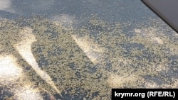 У британській розвідці не виключають, що «Росія продовжуватиме риторику і перешкоджатиме їй за кілька тижнів до наступного крайнього терміну продовження угоди 16 липня 2023 року»