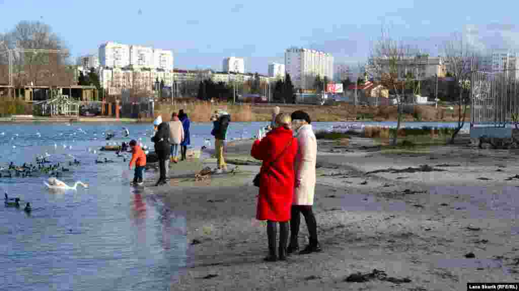 Девушки снимают «птичий базар»