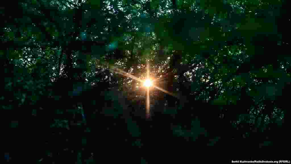 Схід сонця. Харківщина, травень 2022 