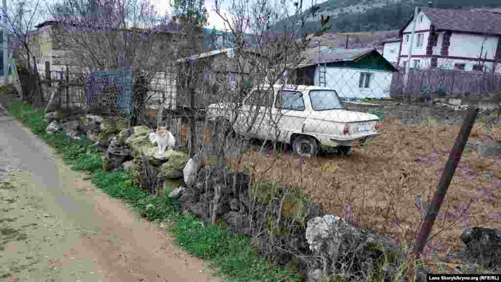 Кот и «Запорожец»