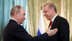 Лицом к событию. Капусте - да. Помидорам - нет Лицом к событию. Капусте - да. Помидорам - нет