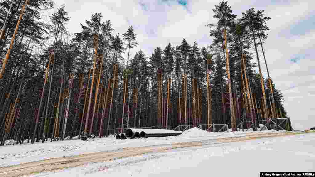 ...на которую начинают свозить стройматериалы. 