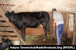 Михайло Шептицький