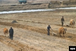 Північна Корея