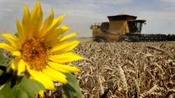 Время Свободы - Итоговый выпуск. 22 сентября Время Свободы - Итоговый выпуск. 22 сентября