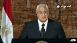 Временно исполняющий обязанности президента Египта Адли Мансур