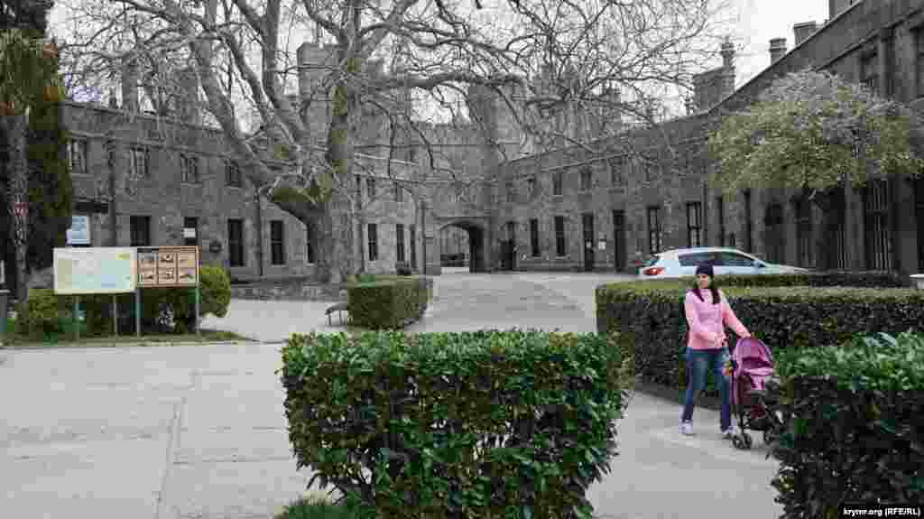 Платану во внутреннем дворе – 190 лет