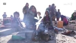 افغانستان کې بې کوره شوي کډوال ژمنيو مرستو ته په تمه دي افغانستان کې بې کوره شوي کډوال ژمنيو مرستو ته په تمه دي