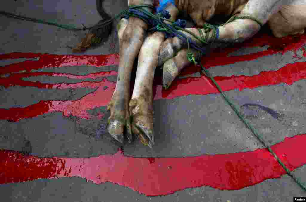 Джакарта, Индонезия 