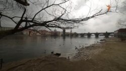 Чешские друзья Кремля (видео) Чешские друзья Кремля (видео)