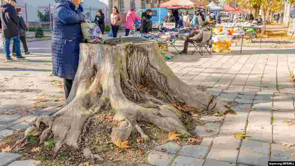 Когда-то «ярмарочную» улицу украшали раскидистые деревья, от которых остались только пни