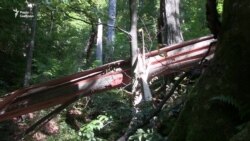 Сходження на вершину Угольського масиву Сходження на вершину Угольського масиву