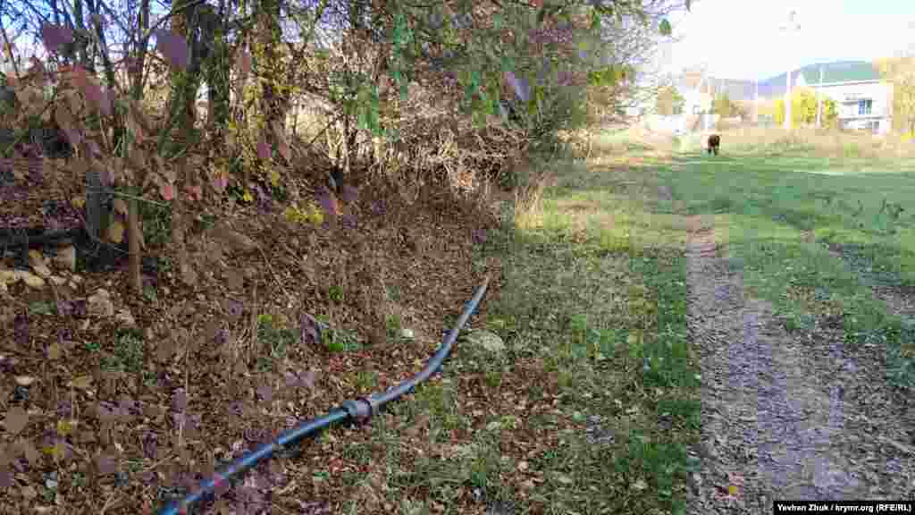 Нынче главная проблема в Гончарном – вода, вернее, ее отсутствие. На одной из улиц неподалеку от пруда проложены пластиковые трубы