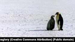 Загалом на конкурс подалися 88 кандидатів