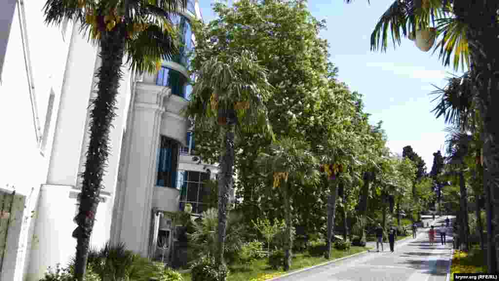 С пальмовой аллеи, которая разбивалась для прогулок у воды, практически не видно моря 