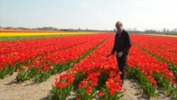 Как Европа проводит весну без туристов Как Европа проводит весну без туристов