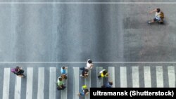 За словами Олега Немчінова, перепис потрібно обов’язково проводити, але «це дороге задоволення»