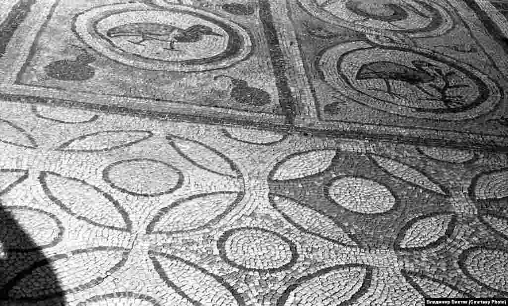 Частина купелі базиліки. На фото видно частину оригінального музичного зображення. У верхньому правому куті фотографії – павич (символ Воскресіння), виготовлений з мармуру, різнобарвного вапняку і темно-зеленої смальти. Птах зображений в анфас з розпущеним хвостом. По обидва боки від нього видно мозаїчні зображення голубів, (символ Святого Духа) обрамлені в круглі медальйони