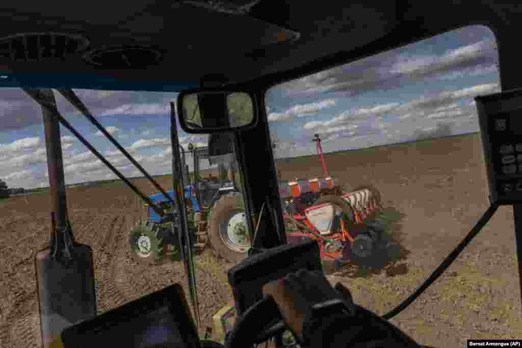 Фермери сіють соняшник на полі в Черкаській Лозовій поблизу Харкова, а в цей час на горизонті здіймається дим від артобстрілів. Фото кінця травня 2022 року. За оцінками FAO (Продовольча та сільськогосподарська організація ООН), на додаток до 720-811 мільйонів людей, які зіткнулися з хронічним голодом у 2020 році, війна Росії проти України може призвести до збільшення кількості людей, які недоїдають у 2022 та 2023 роках – на 7,6 мільйона, а у найгіршому випадку ще на 13,1 мільйона. Найбільшою загроза голоду є для таких країн як Йорданія, Ємен та Ліван, оскільки вони значною мірою залежать від імпорту продуктових основних товарів, причому здебільшого саме з Росії та України