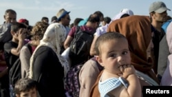 Мигранты вблизи лагеря в Роске, Венгрия, вблизи границы с Сербией, 4 сентября 2015 года