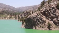 کووېډ-۱۹ وبا د زیارت سیلګري او ورسره تړلي کاروبارونه ځپلي کووېډ-۱۹ وبا د زیارت سیلګري او ورسره تړلي کاروبارونه ځپلي