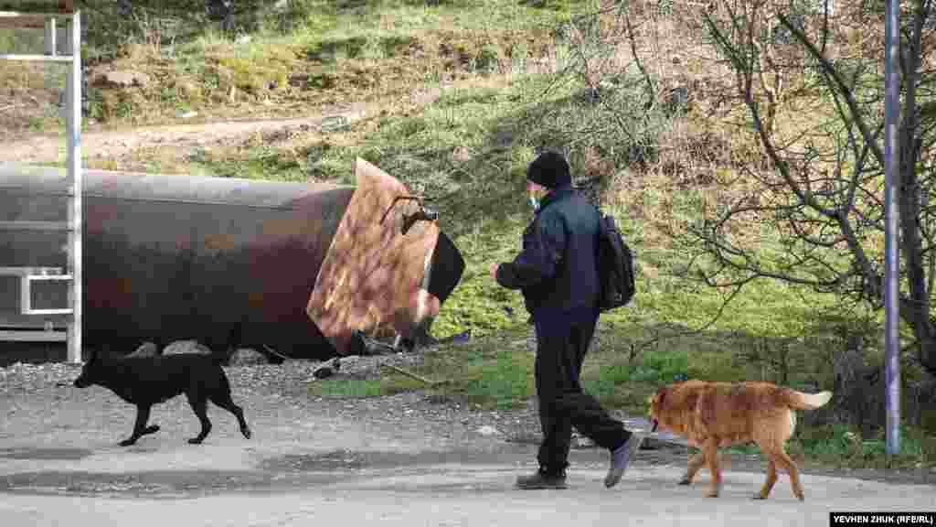 По селу в сопровождении «охраны»