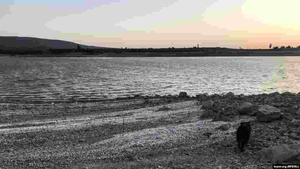 На снижение уровня запасов воды также повлиял режим самоизоляции на полуострове. Во время карантина крымчане активнее занимались домашними делами. Предприятие «Вода Крыма» начало искать альтернативные источники снабжения Симферополя: подавать воду предложили из Админского и Ивановского водозаборов