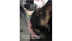 "Мы не боимся" "Мы не боимся"