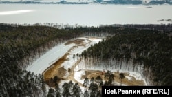 Ради М-12: в Лаишевском районе Татарстана идёт масштабная вырубка леса