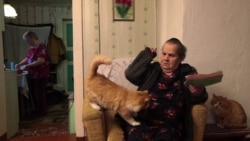 Наследники Калевалы Наследники Калевалы