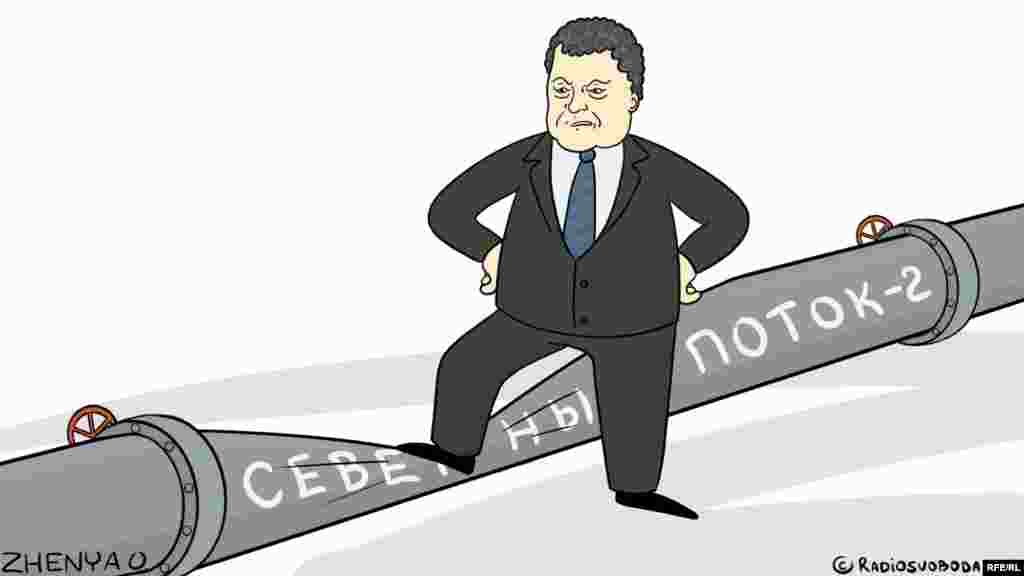 Автор: Євгенія Олійник