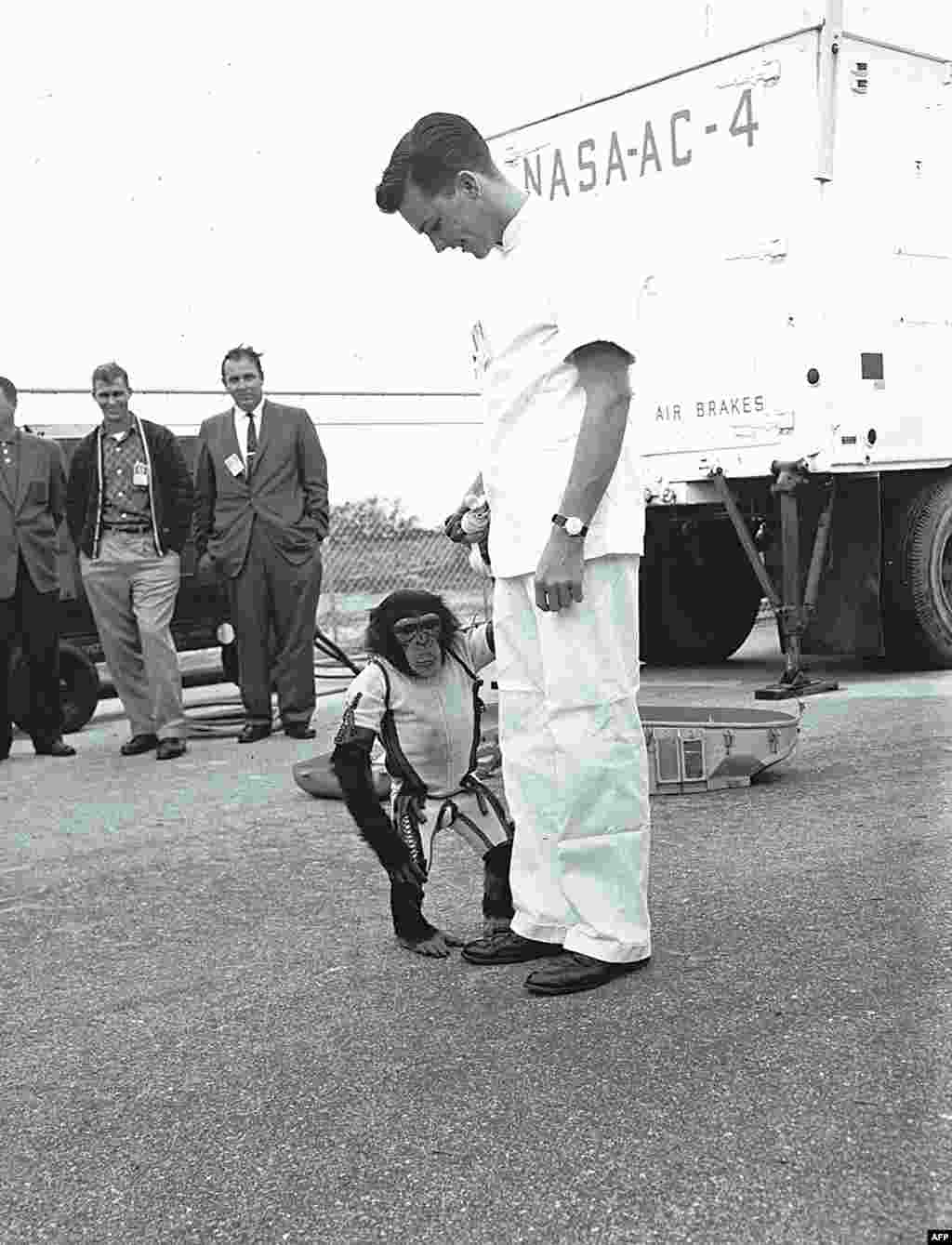 U.S. astronaut Alan Shepard is photographed with Ham, a chimpanzee who preceded him in space, with a 16 minute sub-orbital flight aboard the "Mercury Redstone" rocket in 1961.