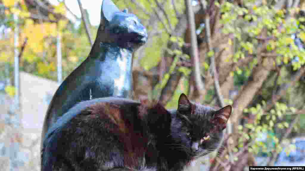 Гурзуф с годами теряет свои земли, парки, скверы и старинные дома. Но неизменным остается другой символ поселка – коты