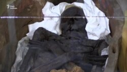 У Києві презентували давньоєгипетські старожитності (відео) У Києві презентували давньоєгипетські старожитності (відео)