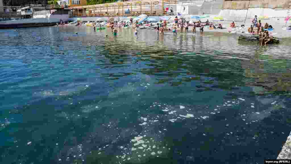 На одной из карт пляжа «Спутник» собрался мусор и мелкие медузы