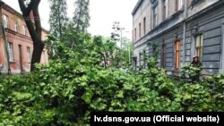 У селі Першотравневе Зміївської громади на 56-річну жінку впало дерево – вона загинула. Фото ілюстративне