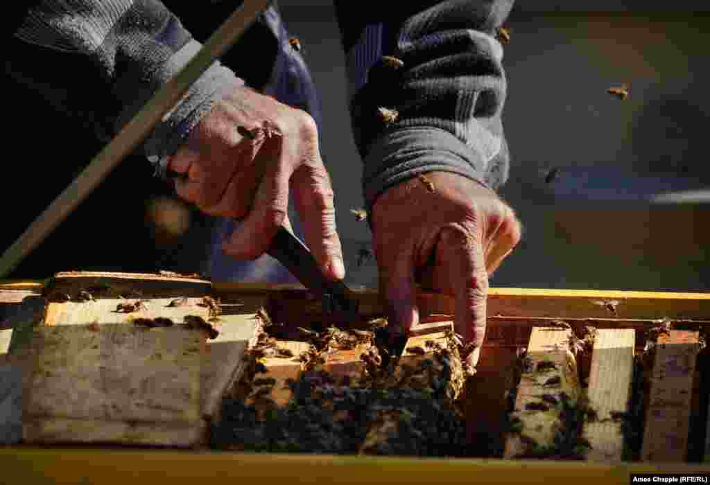 Мало что волнует Василия, что видно по тому, как он проверяет свои ульи без перчаток. Мысли о радиации не занимают у него много времени. «Мы тестировали участок, все чисто. И тестирую то, что ем, и все в порядке»