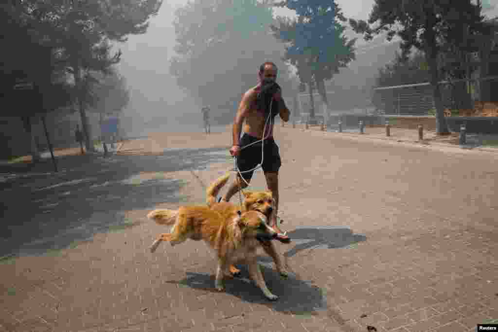 7 серпня у Грецію прибули українські рятувальники, щоб допомогти місцевим пожежникам боротися з масштабними лісовими пожежами. Грецьким вогнеборцям допомагатимуть сотня рятувальників з дев'яти областей України та Києва