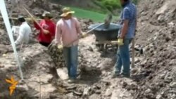 Плесіозавр Плесіозавр