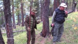 Путин радуется грибам и шишкам Путин радуется грибам и шишкам