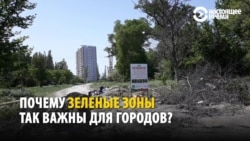 Зелень наша: активисты в Махачкале воюют с чиновниками за скверы и парки Зелень наша: активисты в Махачкале воюют с чиновниками за скверы и парки